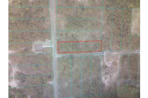 0 209 AVENUE, DUNNELLON, FL 34431 - MLS#MFROM717434