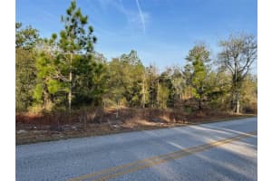 LOT 11 HALF MOON DRIVE, DUNNELLON, FL 34431 - MLS#MFROM717458