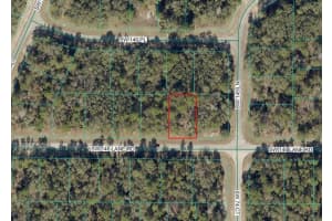 SW 146 LANE RD, OCALA, FL 34473 - MLS#MFROM717472