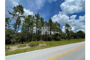 00 MARINE BOULEVARD, DUNNELLON, FL 34431 - MLS#MFROM717489