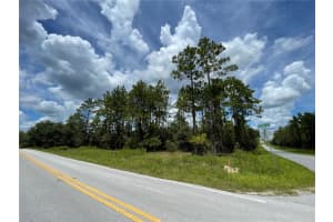 00 MARINE BOULEVARD, DUNNELLON, FL 34431 - MLS#MFROM717489