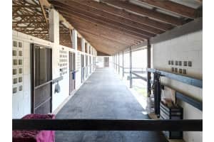 21051 42ND STREET, MORRISTON, FL 32668 - MLS#MFROM717505