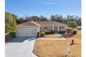 13875 97TH AVENUE, SUMMERFIELD, FL 34491 - MLS#MFROM717521