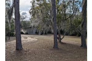 13668 226TH AVENUE ROAD, SALT SPRINGS, FL 32134 Sold 03/16/26