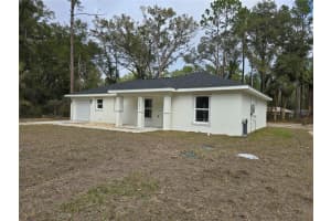 131 FISHER ROAD, OCKLAWAHA, FL 32179 - MLS#MFROM717563