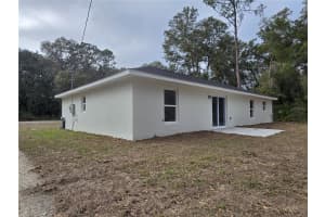 131 FISHER ROAD, OCKLAWAHA, FL 32179 - MLS#MFROM717563