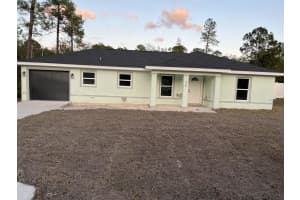 35 SEQUOIA TRAIL, OCKLAWAHA, FL 32179 - MLS#MFROM717583