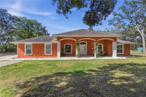 8490 110TH STREET ROAD, BELLEVIEW, FL 34420 - MLS#MFROM717613