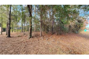 7954 GOLFVIEW DRIVE, CITRUS SPRINGS, FL 34434 - MLS#MFROM717623