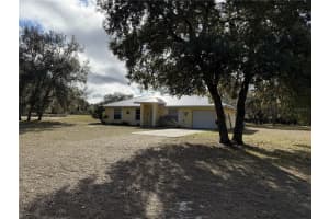 11330 LEVY STREET, WILLISTON, FL 32696 - MLS#MFROM717647