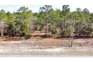 8951 CITRUS SPRINGS BOULEVARD, CITRUS SPRINGS, FL 34433 - MLS#MFROM717660