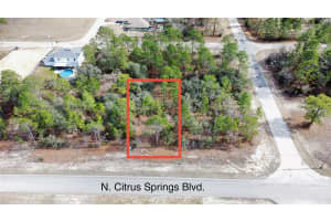 8951 CITRUS SPRINGS BOULEVARD, CITRUS SPRINGS, FL 34433 - MLS#MFROM717660