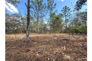 8951 CITRUS SPRINGS BOULEVARD, CITRUS SPRINGS, FL 34433 - MLS#MFROM717660