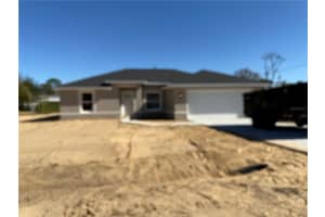 12133 Se 89th Ave, BELLEVIEW