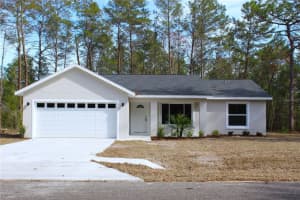 15 Fisher Way Pl, OCKLAWAHA