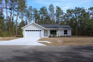 15 FISHER WAY PLACE, OCKLAWAHA, FL 32179 - MLS#MFROM717707