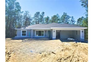 14 Sequoia Trail Trak, OCKLAWAHA