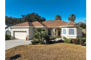 12135 172ND LANE, SUMMERFIELD, FL 34491 - MLS#MFROM717741