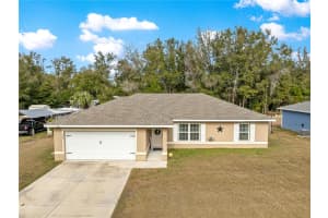 3563 137TH STREET, SUMMERFIELD, FL 34491 - MLS#MFROM717759