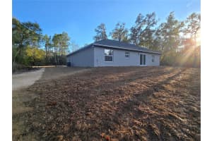 61 LOCUST RUN, OCALA, FL 34472 - MLS#MFROM717792
