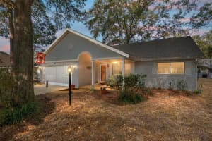 8711 92ND PLACE, OCALA, FL 34481 - MLS#MFROM717914
