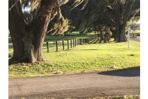 9549 80TH AVENUE, OCALA, FL 34482 - MLS#MFROM717931