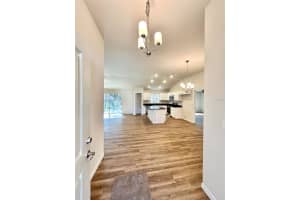 1586 GAINSBORO LANE, CITRUS SPRINGS, FL 34434 - MLS#MFROM718033