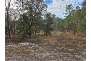 0000 128TH AVENUE, DUNNELLON, FL 34431 - MLS#MFROM718051