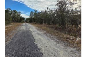 0000 128TH AVENUE, DUNNELLON, FL 34431 - MLS#MFROM718051