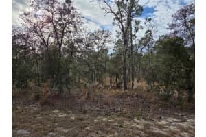 0000 128TH AVENUE, DUNNELLON, FL 34431 - MLS#MFROM718051