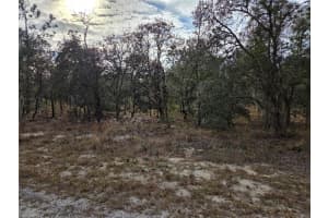 0000 128TH AVENUE, DUNNELLON, FL 34431 - MLS#MFROM718051