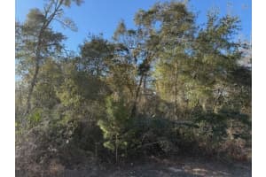 TBD 158TH STREET ROAD, OCALA, FL 34473 - MLS#MFROM718055