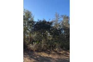 TBD 158TH STREET ROAD, OCALA, FL 34473 - MLS#MFROM718055