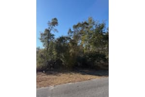 TBD 158TH STREET ROAD, OCALA, FL 34473 - MLS#MFROM718055