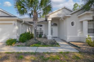 9005 CITRUS SPRINGS BOULEVARD, CITRUS SPRINGS, FL 34433 - MLS#MFROM718060