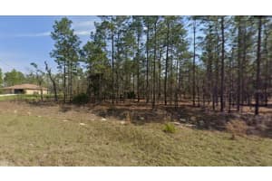 0 SW 125TH COURT RD, OCALA, FL 34481 - MLS#MFROM718066