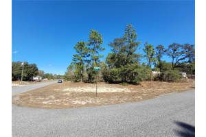 3153 EUNICE DRIVE, DUNNELLON, FL 34433 Sold 03/10/26