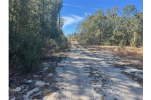 Lots 19-24 16TH PLACE, OCALA, FL 34482 - MLS#MFROM718092