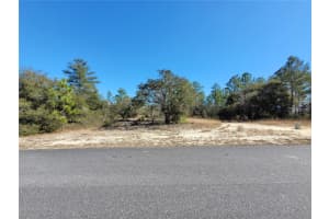 3138 REDGATE DRIVE, CITRUS SPRINGS, FL 34433 - MLS#MFROM718095