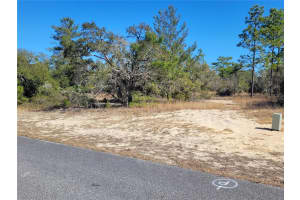 3138 REDGATE DRIVE, CITRUS SPRINGS, FL 34433 - MLS#MFROM718095