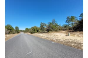 3138 REDGATE DRIVE, CITRUS SPRINGS, FL 34433 - MLS#MFROM718095