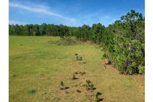 DEEN STILL RD E RD E #Lot B-178, POLK CITY, FL 33868 - MLS#MFROM718113