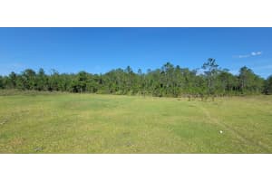 DEEN STILL RD E RD E #Lot B-178, POLK CITY, FL 33868 - MLS#MFROM718113