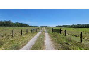 DEEN STILL RD E RD E #Lot B-178, POLK CITY, FL 33868 - MLS#MFROM718113
