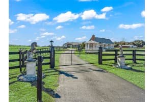 19830 15TH PLACE, MORRISTON, FL 32668 - MLS#MFROM718146