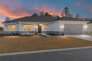10020 Sw 106th Cir, OCALA