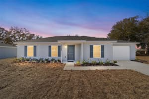 12398 102ND TERRACE, BELLEVIEW, FL 34420 - MLS#MFROM718173