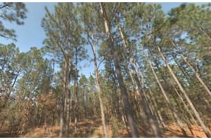 00 39TH STREET, DUNNELLON, FL 34432 - MLS#MFROM718241