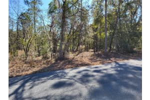 000 SE LOCUST LOOP PLACE, OCALA, FL 34472 - MLS#MFROM718258