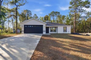 2992 CAMILO DRIVE, CITRUS SPRINGS, FL 34434 - MLS#MFROM718264